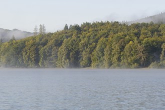 Hennesee, morning fog, Hennetalsperre, Sauerland-Rothaargebirge nature park Park, North