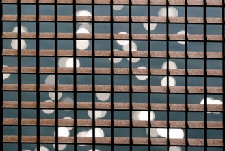 Rusty grid in front of a reflecting water surface, North Rhine-Westphalia, Germany