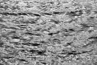 Water surface with waves and light reflections, black and white, Möhnesee, Möhnetalsperre, North