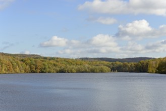 View over Lake Möhnesee, mixed autumn forest on the shore, blue sky, Möhnetalsperre, North