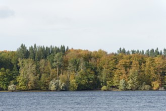 View over Lake Möhnesee, mixed autumn forest on the shore, overcast sky, Möhnetalsperre, North