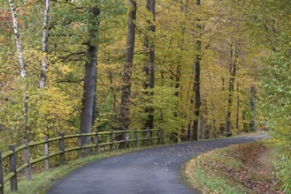 Riverside trail leads through the autumn forest at Möhnesee, Möhnetalsperre, North