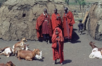 Maasai woman, children and goats in their village in the Ngorongoro Crater, Tanzania, June 2000,