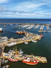 Brixham Hourbour and Brixham Marina from a drone, Brixham, Torbay, Devon, England, United Kingdom