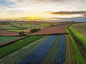 Colours of autumn Fields and Farms over Sheldon from a drone, Torbay, Devon, England, United