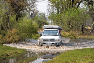 Safari car, off-road car driving through a river, Xakanaxa, Moremi Game Reserve, Botswana