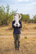 Man holding a hippopotamus skull in front of his head, Botswana