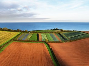 Colours of autumn Fields and Farms over Sheldon from a drone, Torbay, Devon, England, United