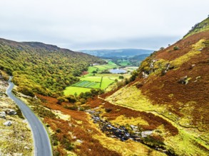 Autumn Colours over Gwynllyn Lake and Stream Nantgwynllyn from a drone, Rhayader, Powys,