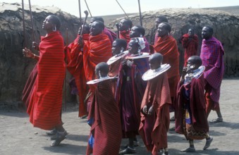 Maasai men and girls in their village in the Ngorongoro Crater dancing for tourists, Tanzania,
