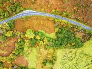 Top Down view of Autumn colours over River Wye and Road A470 from a drone, Llanidloes, Powys,