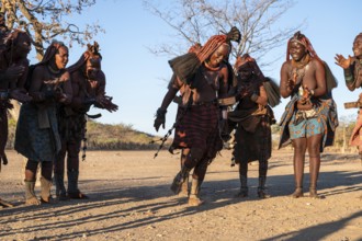 Himba woman dancing, traditional Himba village, Kaokoveld, Kunene, Namibia