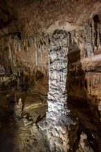 Stalactites and stalagmites, rock formations in a stalactite cave, Grotta del Fico, Gulf of Orosei,