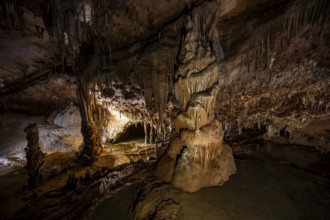Stalactites and stalagmites, rock formations in a stalactite cave, Grotta del Fico, Gulf of Orosei,