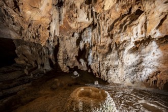 Stalactites and stalagmites, rock formations in a stalactite cave, Grotta del Fico, Gulf of Orosei,