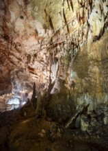 Stalactites and stalagmites, rock formations in a stalactite cave, Grotta del Fico, Gulf of Orosei,