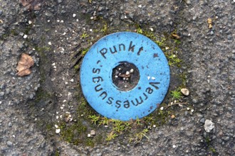Survey point, in a street, reference point for surveying