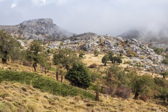 Mountain range Sierra de las Nieves, Parque Nacional Sierra De Las Nieves, Andalusia, Spain