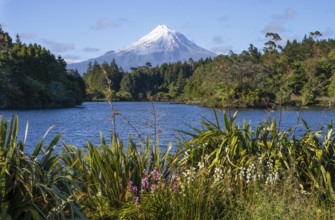 Lake Mangamahoe with views of Mount Taranaki. Egmont National Park, Taranaki Region, North Island,