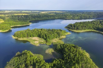 Aerial view, drone photo: Steinwerder and Bollenwerder islands, Carwitzer See, Carwitz, Feldberger