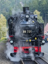 Old steam train in Oybin train station, Zittau Mountains, Saxony, Germany