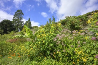 National Botanic Gardens, Kilmacurragh, Dunganstown, Co. Wicklow, Ireland