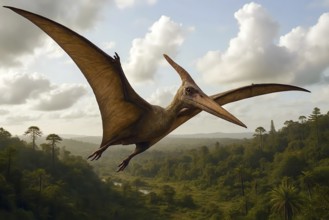 A pteranodon, a pteranodon, in flight from the Cretaceous period, symbol dinosaur, extinct, fossil,