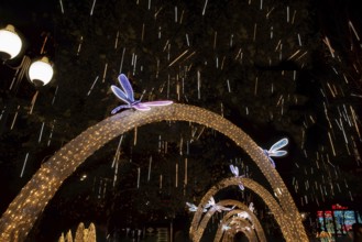 Krasnodar before the New Year. Russia