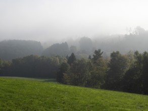 Landscape with meadows, forest and fog, Upper Lusatian mountain landscape, Zittau Mountains,