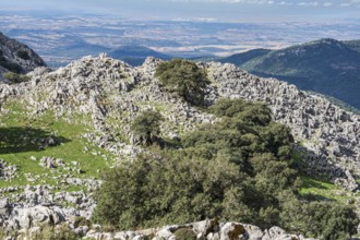Limestone mountains, mountain range Sierra de Grazalema, Parque natural de la Sierra de Grazalema,