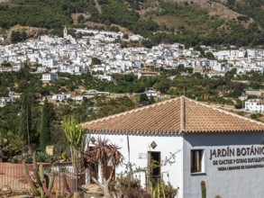 Cactus y Otras Suculentas 'Mora i Bravard', Botanical Garden, Botanic garden, cactus collection,