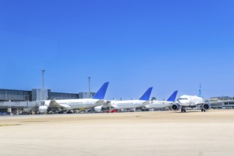 Several white and blue airplanes parked at airport gates on a clear, sunny day, waiting for their