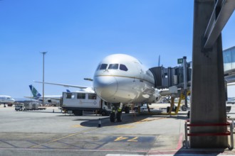 Wide body airplane connected to a jet bridge at an airport gate, ground crew preparing for