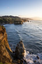 The Three Sisters and Elephant Rock formations, sea, evening, golden hour. Taranaki Region, North