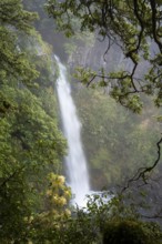 Dawson Falls Waterfall. Egmont National Park, Taranaki Region, North Island, New Zealand
