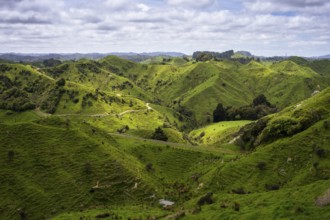 Hilly landscape with meadows along State Highway 43 (SH 43), also known as the Forgotten World