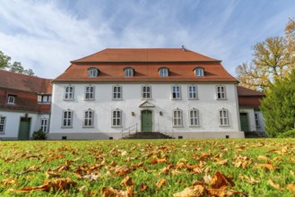 Leaves in a meadow in front of Wiepersdorf Castle of the von Arnim family in autumn, Wieperdorf,