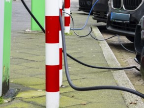 Several cars are charged at charging stations in Düsseldorf, Germany