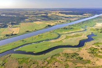 Aerial view over the Oder river in the German-Polish nature reserve Lower Oder Valley International