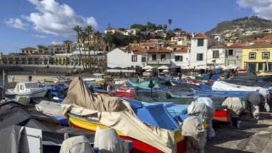 Camera de Lobos fishing village, harbour with fishing boats, Madeira, Portugal