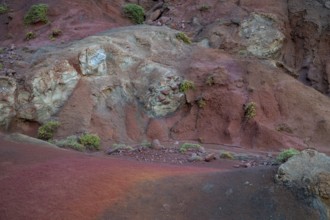 Volcanic soil, colorful soil, red, erosion, near Miradouro da Ponta do Rosto, Madeira, Portugal