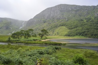 Group of trees and beach at the mouth of the Owenacoo River and Lough Beagh in the background