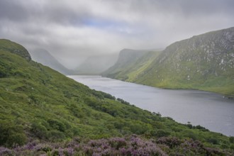 View over Loch Beagh, Glenveagh National Park, Cross Roads, County Donegal, Ireland