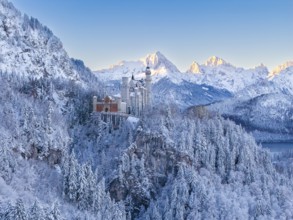 Majestic Neuschwanstein Castle surrounded by snow-covered Alps and thick forests, a winter dream,