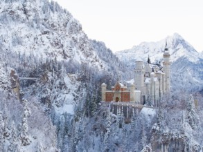 Neuschwanstein Castle nestled in a snowy mountain landscape with thick fir trees, peaceful