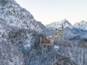 Neuschwanstein Castle in a frosty winter landscape surrounded by snow-covered trees, Schwangau near