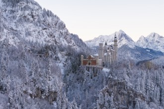 Neuschwanstein Castle in a snowy mountain landscape surrounded by trees, magical and quiet,
