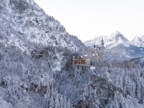The impressive Neuschwanstein Castle in an idyllic winter landscape full of snow, Schwangau near