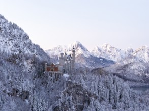 Neuschwanstein Castle in a snowy mountain landscape with a gentle evening mood, Schwangau near