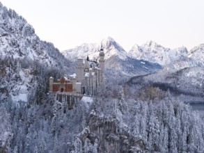 Neuschwanstein Castle sits majestically in the midst of a snowy, alpine winter landscape, Schwangau